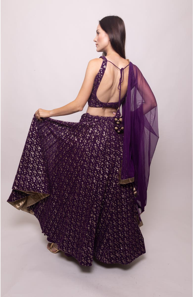 RAAS Jaden Sequins Embroidered Lehenga Choli, Alternate, color, Wine