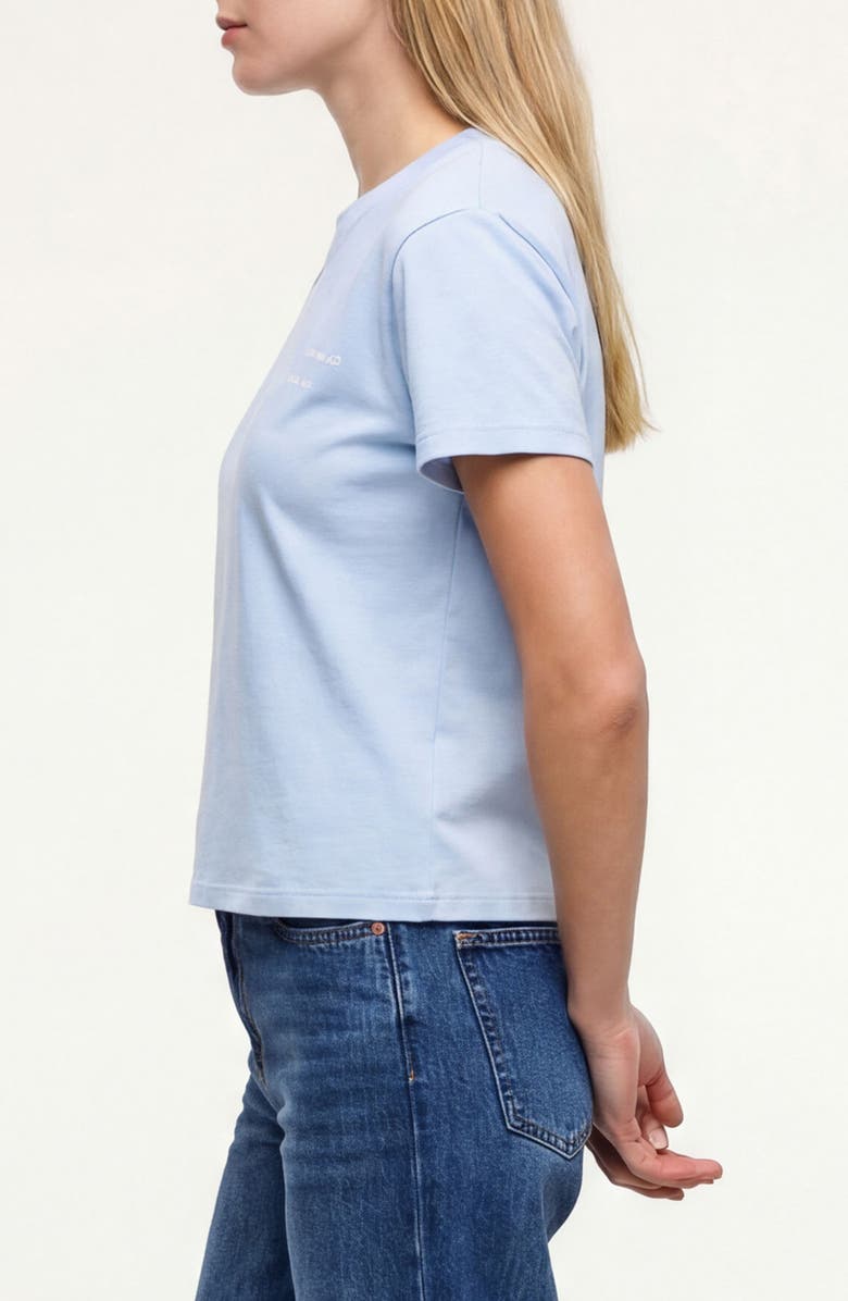 Wildfox Jamie Endless Cotton Graphic T-Shirt, Alternate, color, Skyway