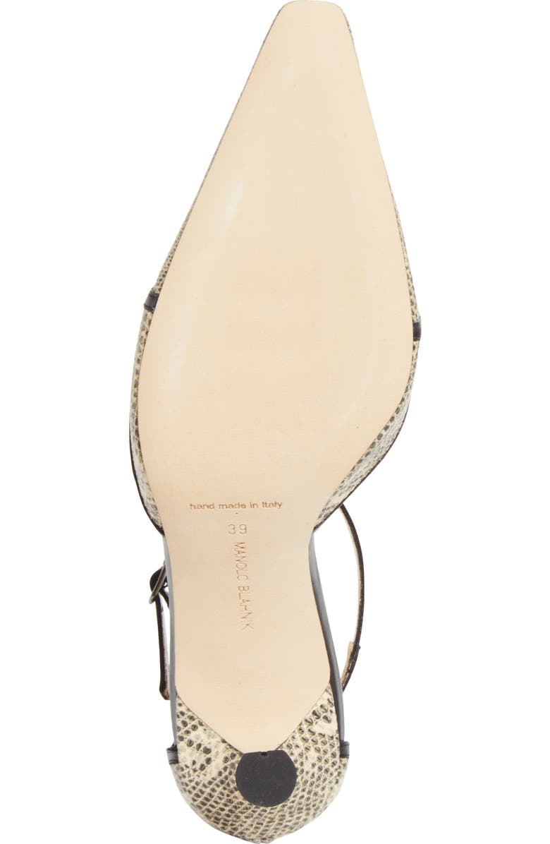 Manolo Blahnik Gish T-Strap Pump, Alternate, color, Ivory/Black