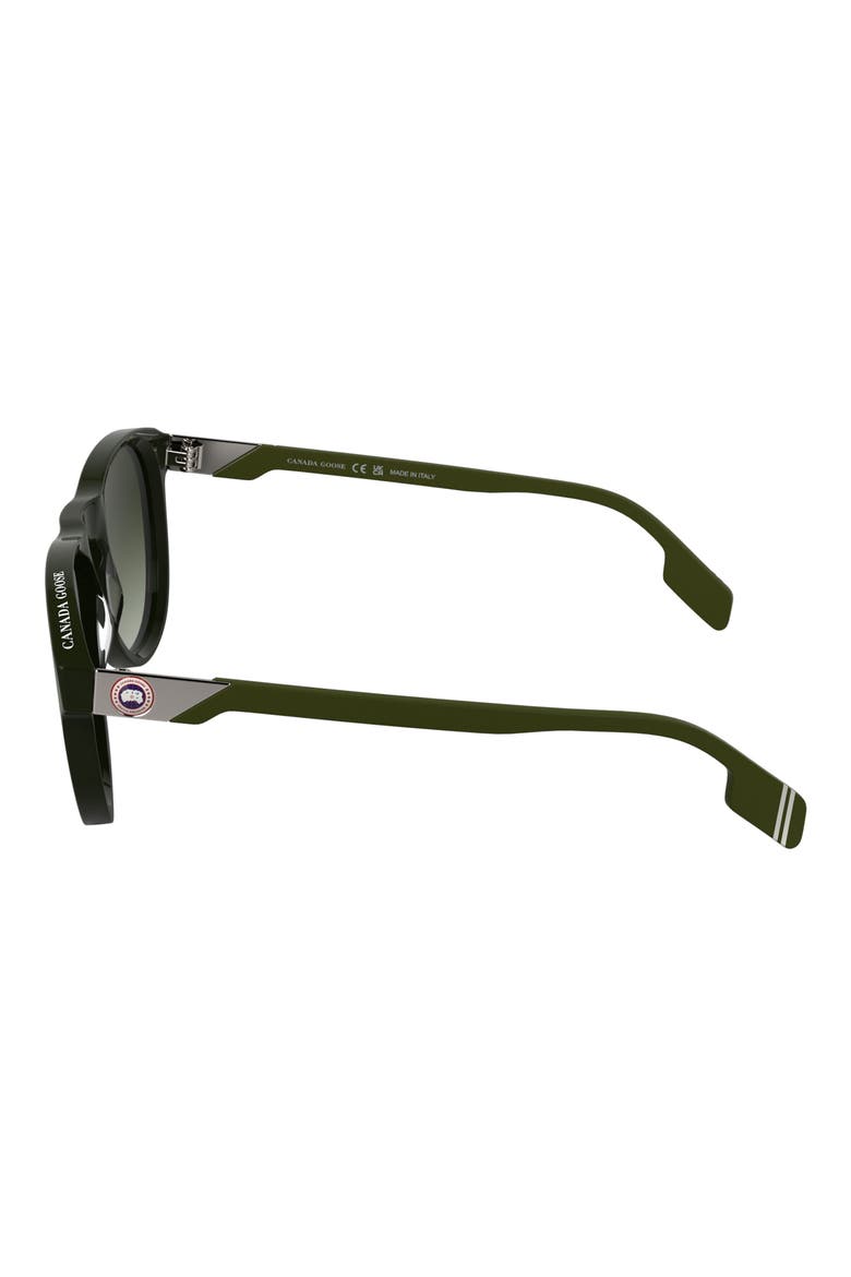 Disc Logo 55mm Oval Sunglasses, Alternate, color, BLACK/ KHAKI
