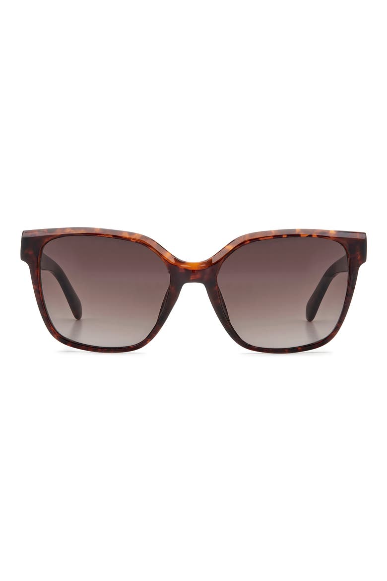 55mm Gradient Cat Eye Sunglasses, Main, color, HAVANA/ BROWN SF