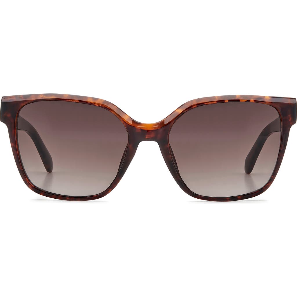 Fossil 55mm Gradient Cat Eye Sunglasses in Havana/Brown Sf  product