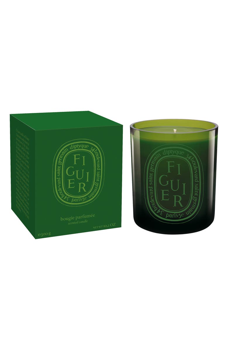 Diptyque Figuier (Fig Tree) Scented Indoor & Outdoor Candle, Alternate, color, Green Vessel