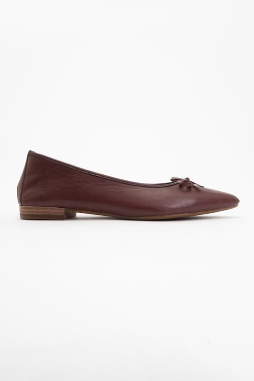 Forever & Always Shoes Ruby Leather Pointed Toe Flats In Burgundy Brown Leather