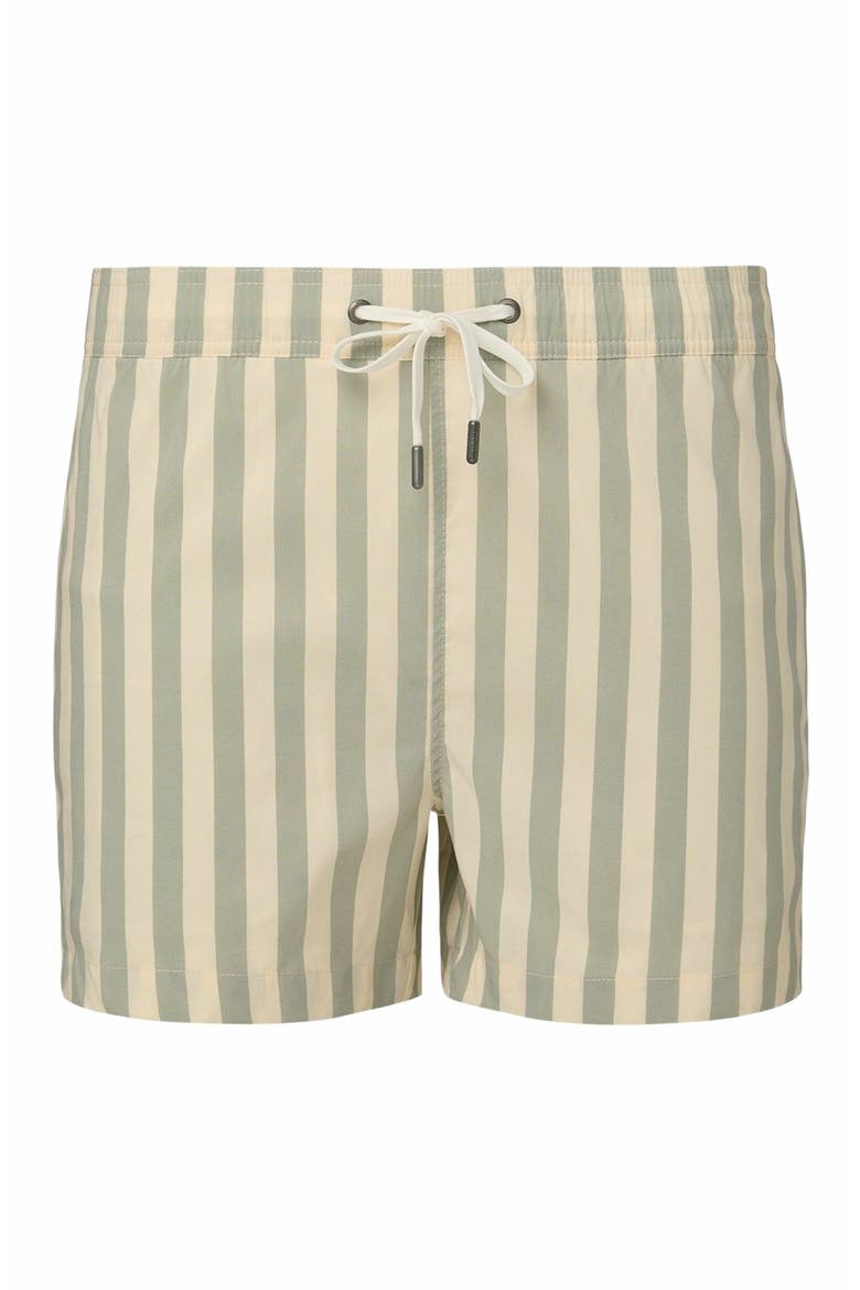Charles 4" Swim Trunk, Alternate, color, SAGE/CREAM