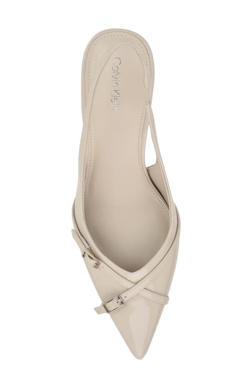 Calvin Klein Tulissa 2 Pointed Toe Slingback Pump In Multi