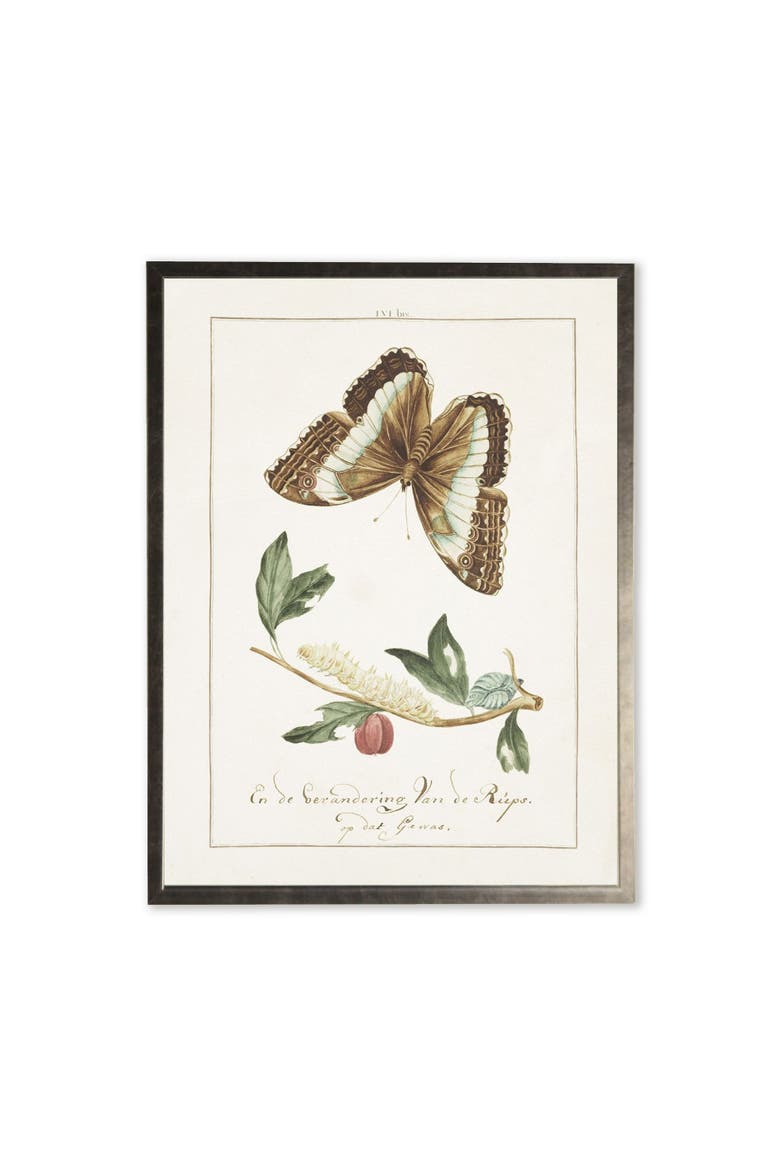 Butterfly and Caterpillar in Silver Frame, Main, color, Multi