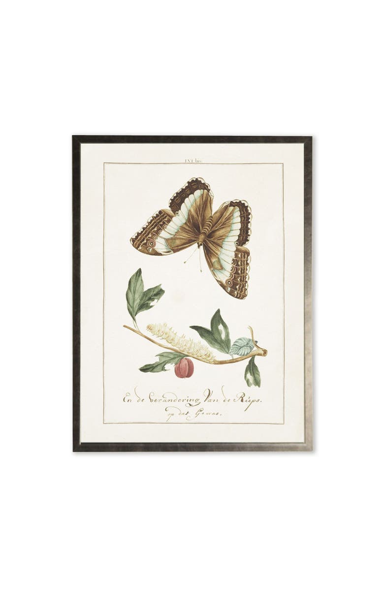 Antique Curiosities Butterfly and Caterpillar in Silver Frame, Main, color, Multi
