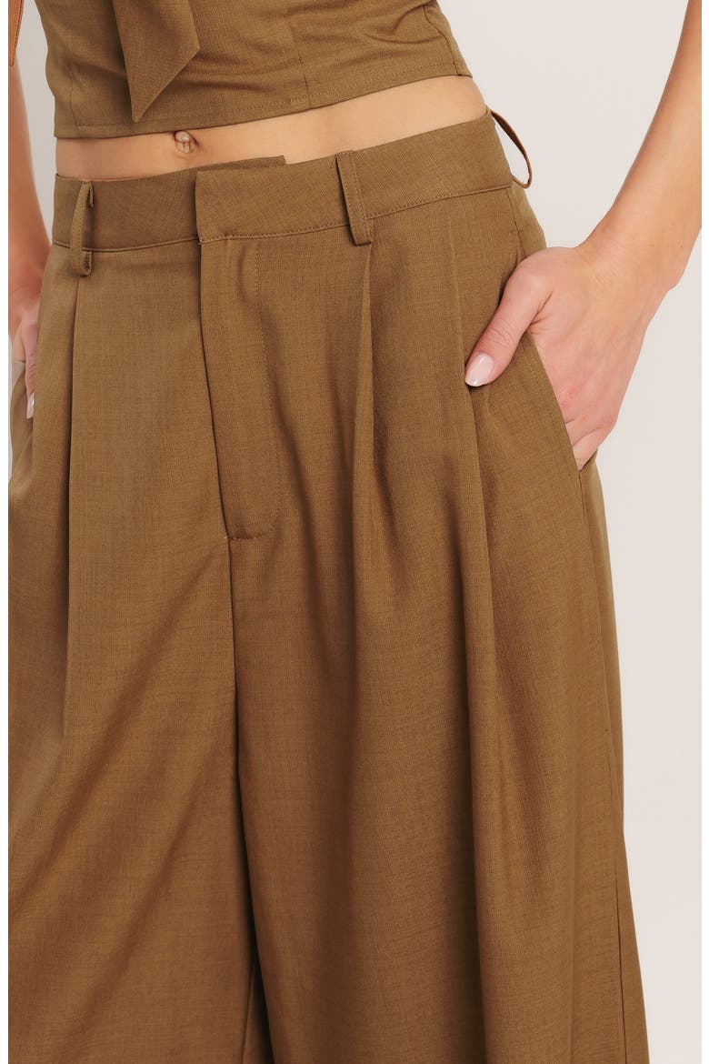 Pleated Wide Leg Pants, Alternate, color, BRICK