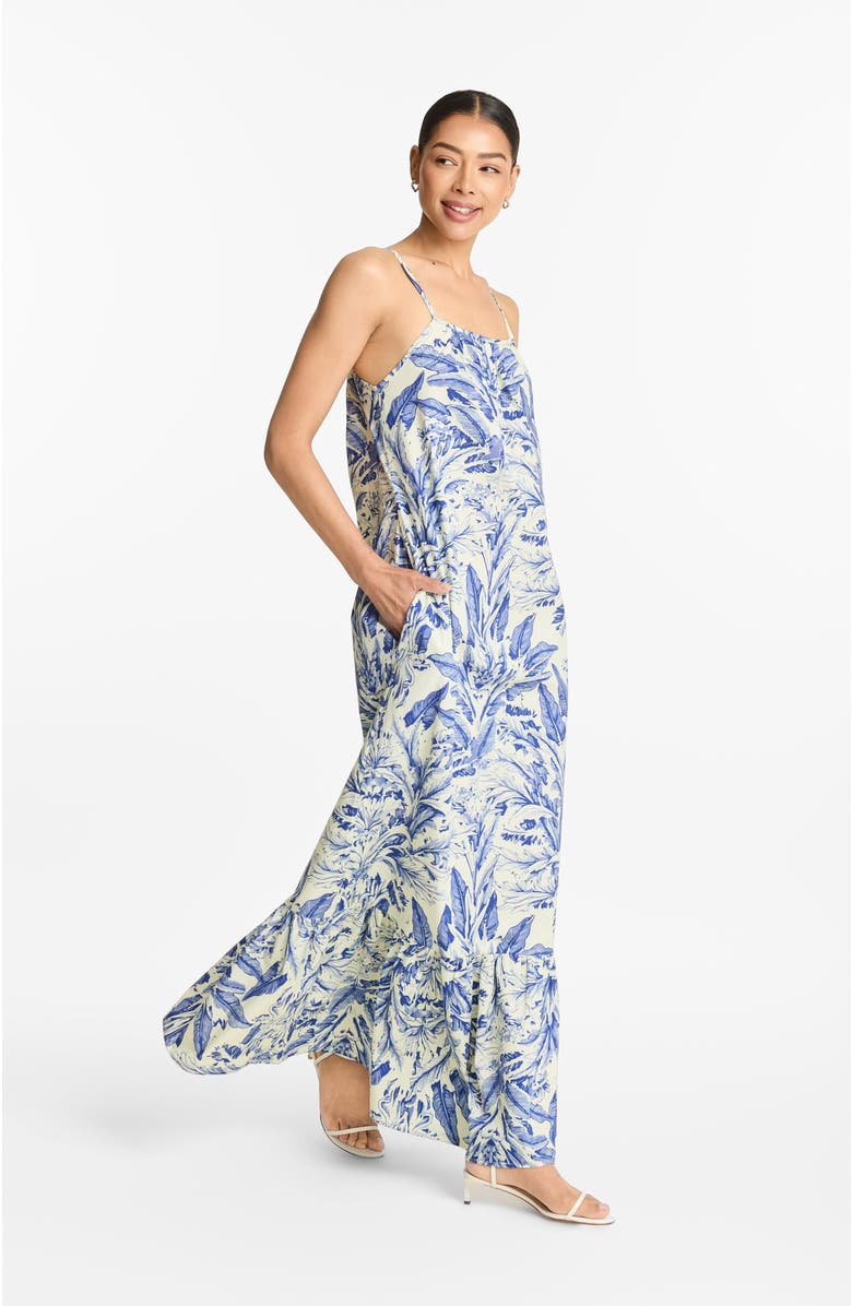 DIARRABLU Printed Cotton Poplin Fari Maxi Dress in Toile Blu, Alternate, color, Toile Blu