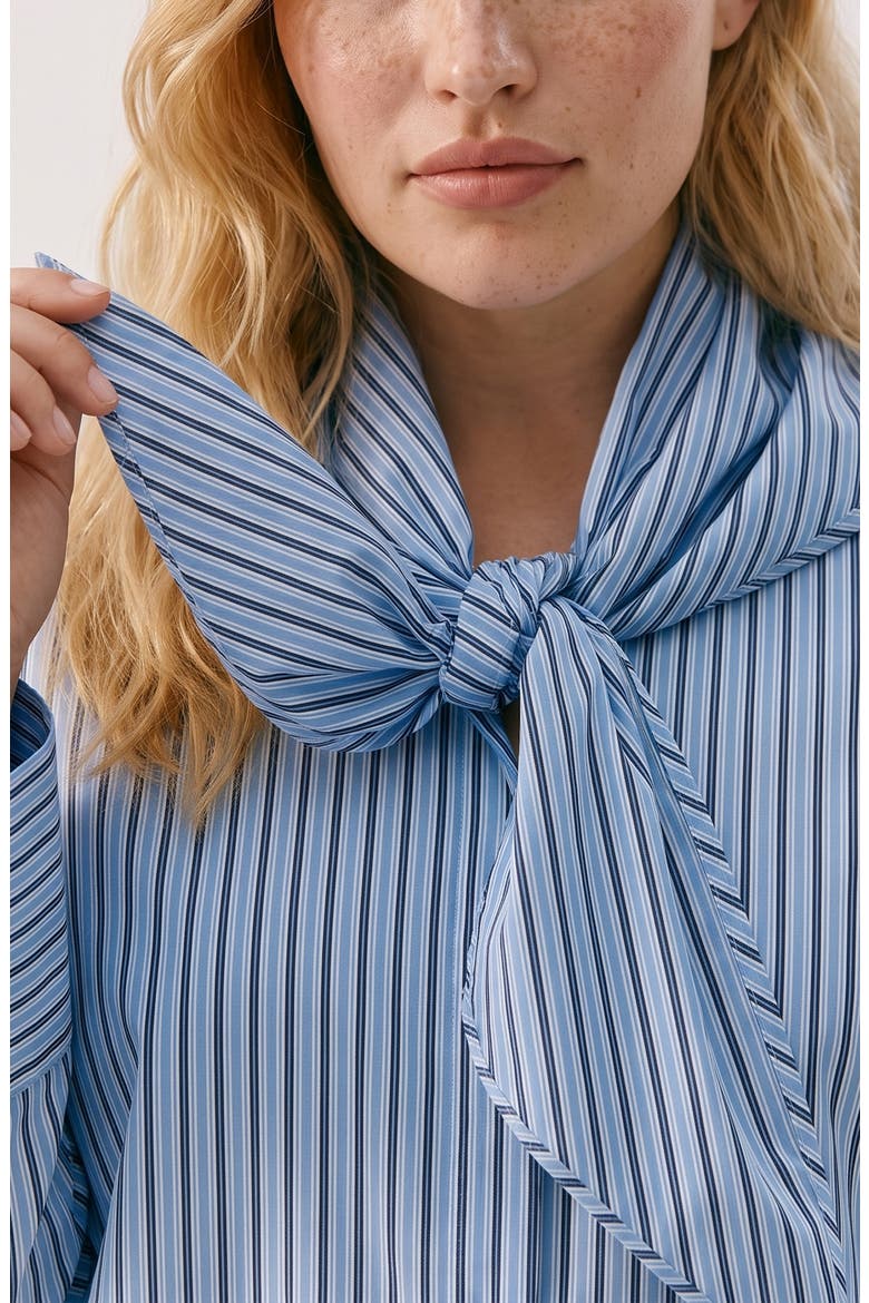 Scarf Neck Striped Shirt, Alternate, color, PROVENCE W/ FIONA STRIPES