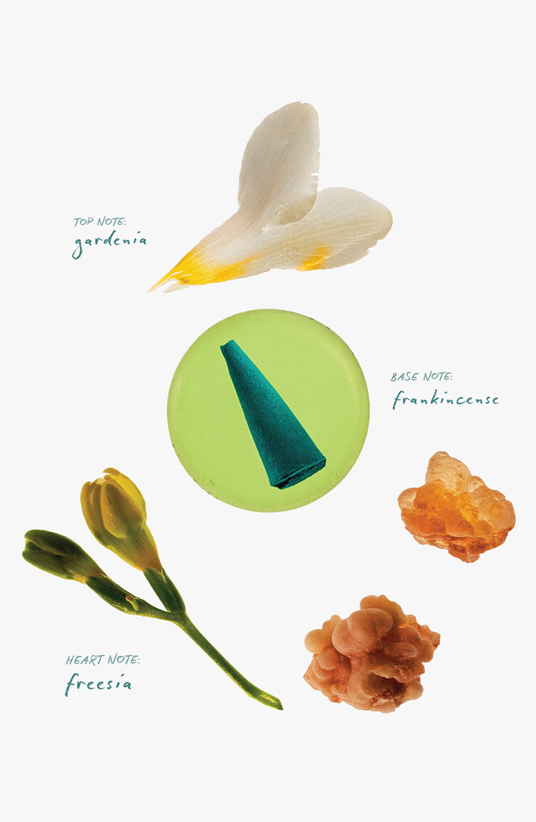 ripple⁺ home Chateau Gardenia Incense Cones, Alternate, color, 