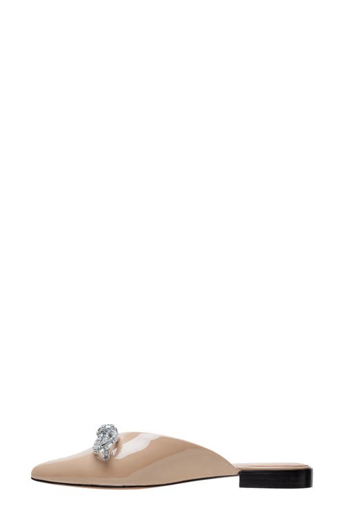 Linea Paolo Astrid Pointed Toe Mule In Maple Sugar
