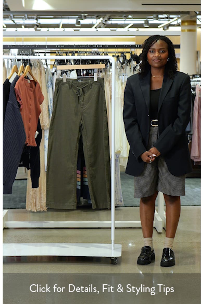 Arellia Drawstring High Waist Barrel Trouser Jeans video