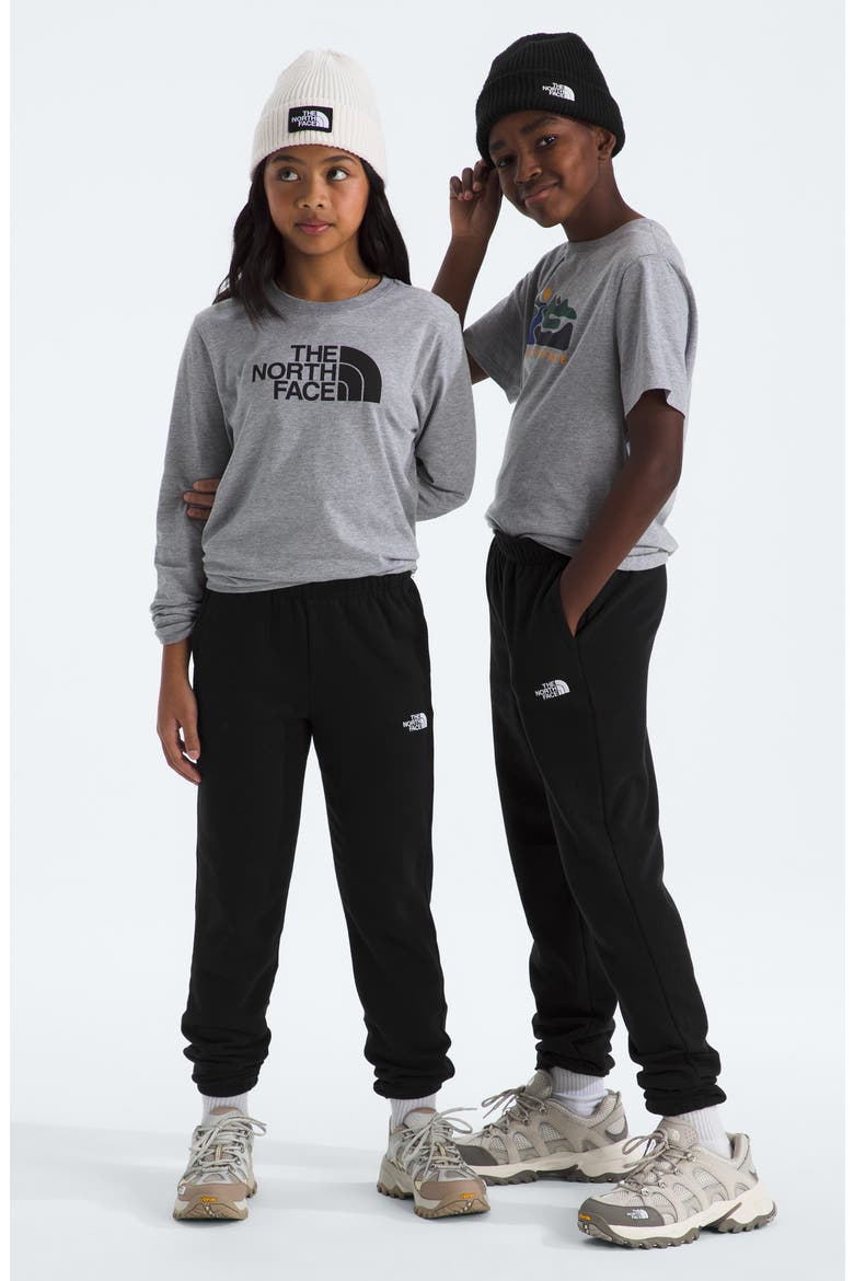 Kids' Evolution Joggers, Alternate, color, TNF BLACK