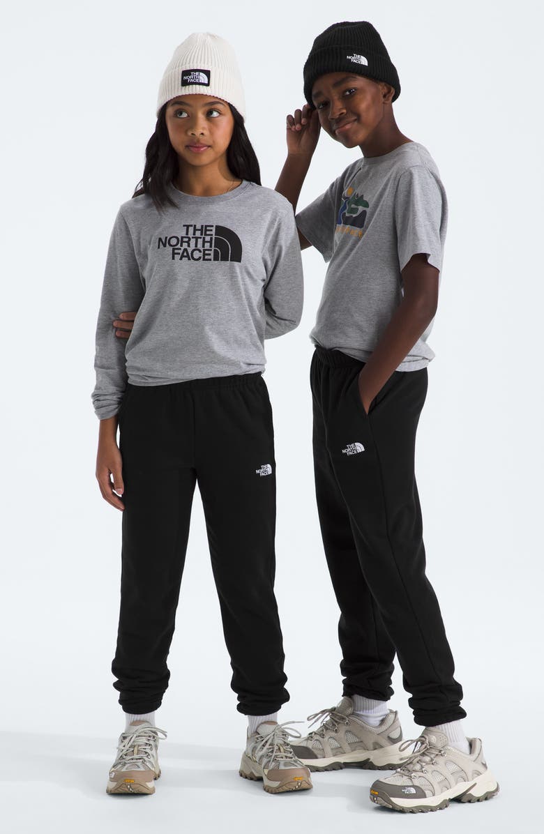 The North Face Kids' Evolution Joggers, Alternate, color, Tnf Black