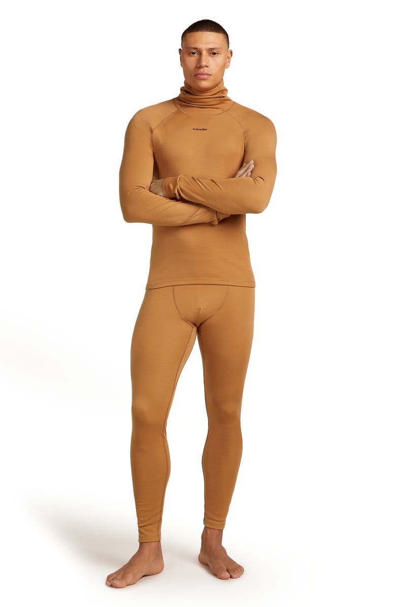 Icebreaker 300 Polar MerinoFine Turtleneck Top, Alternate, color, Trail