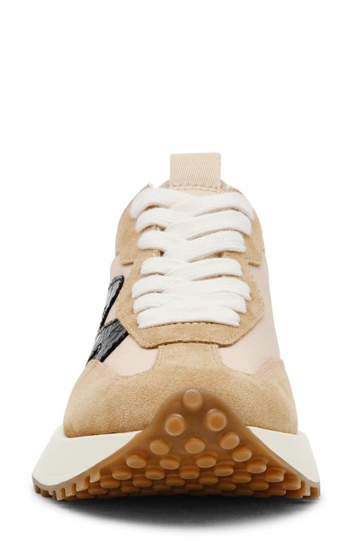 Steve Madden Campo Sneaker In Tan/black