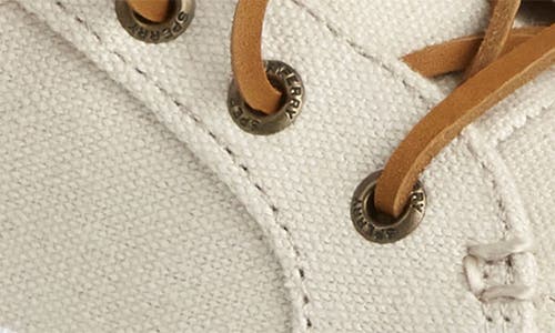 SPERRY SPERRY CREST VIBE SLIP-ON SNEAKER