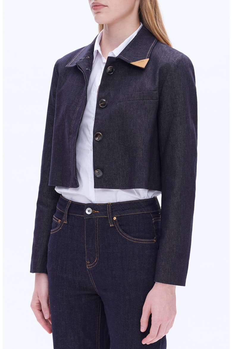Patrick Crop Denim Jacket, Alternate, color, RINSE WASH