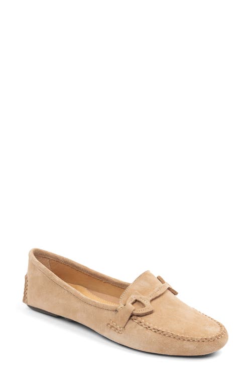 Shop Patricia Green Jane Bit Loafer In Tan Suede