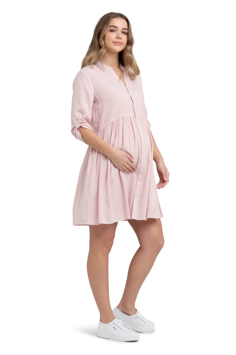 Sam Stripe Maternity/Nursing Dress, Alternate, color, TERRACOTTA / WHITE