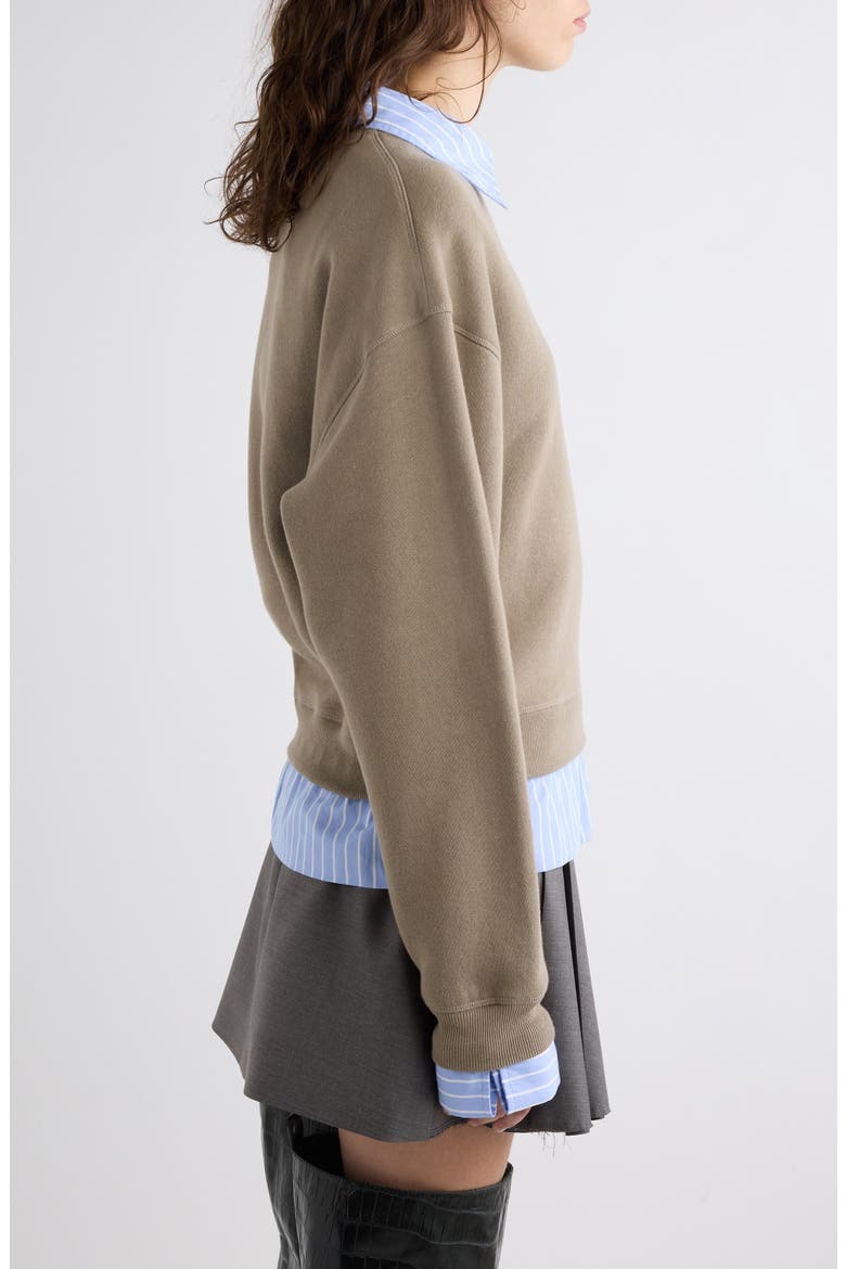Finten C Organic Cotton Sweatshirt, Alternate, color, BEIGE/ BLUE