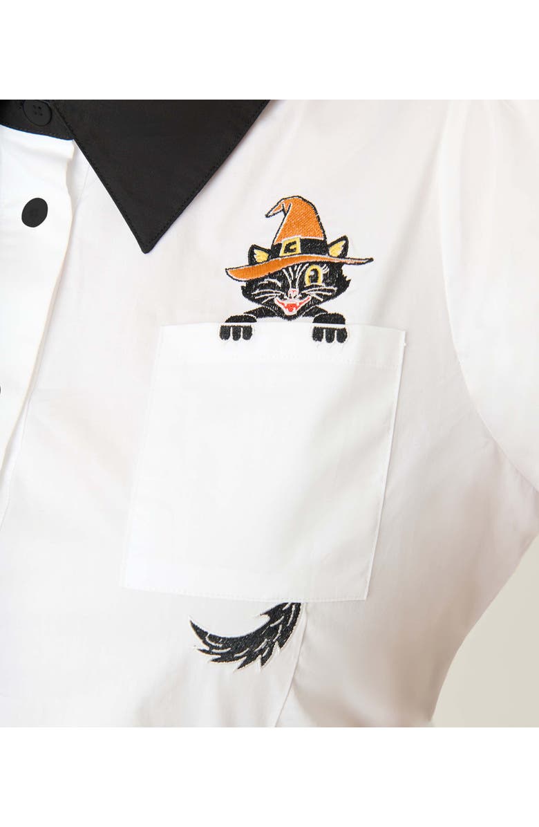 Unique Vintage Plus Size 1940s Collared Blouse, Alternate, color,