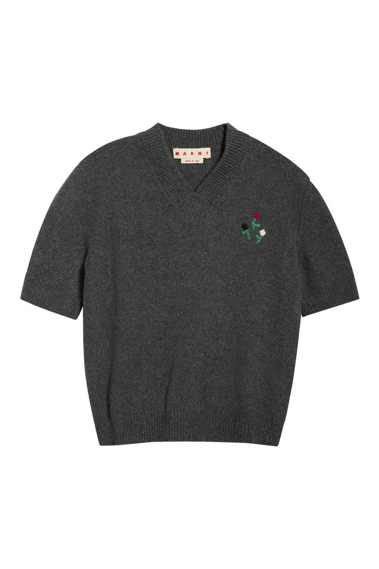 Embroidered Flowers Short Sleeve Wool & Cashmere V-Neck Sweater, Main, color, FLN60 GRAPHITE