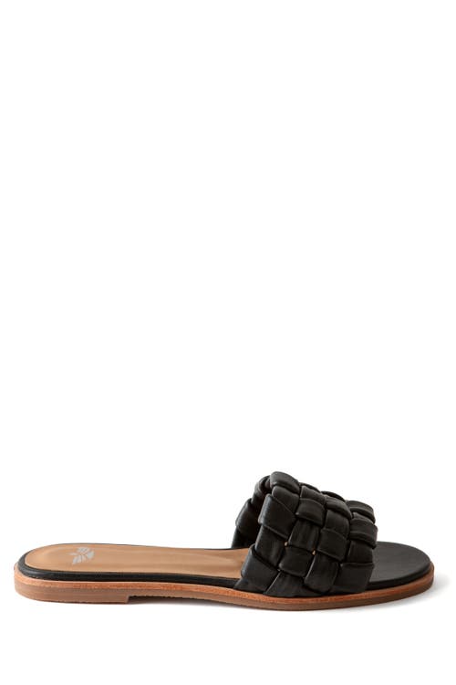 Fortress Nora Woven Slide Sandal In Black
