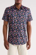 Robert Graham Apsley Short Sleeve Button-Up Shirt