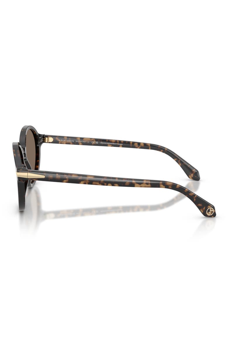 53mm Oval Sunglasses, Alternate, color, BROWN