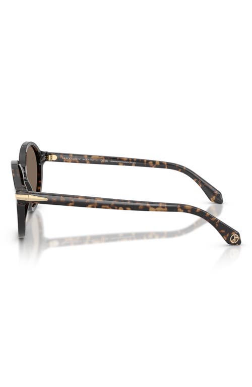 Giorgio Armani Round-frame Sunglasses In Brown