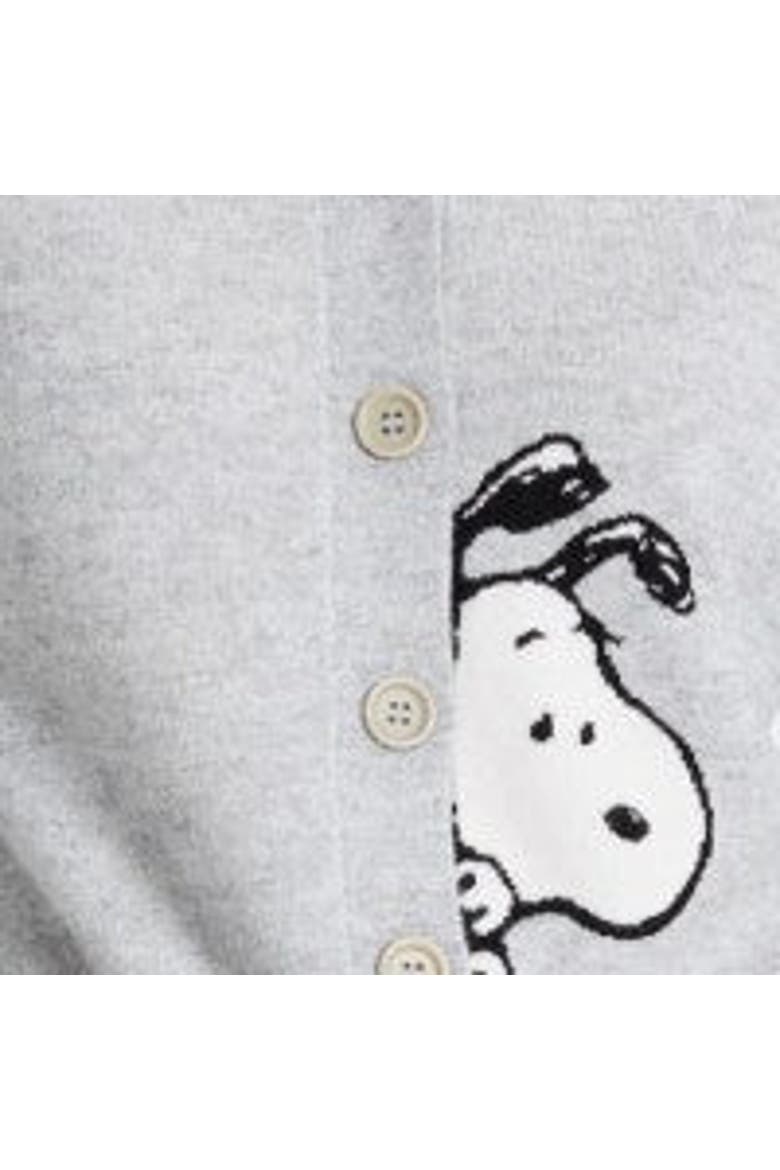 Sneaky Snoopy Wool-Cashmere Cardigan, Alternate, color, Light Grey