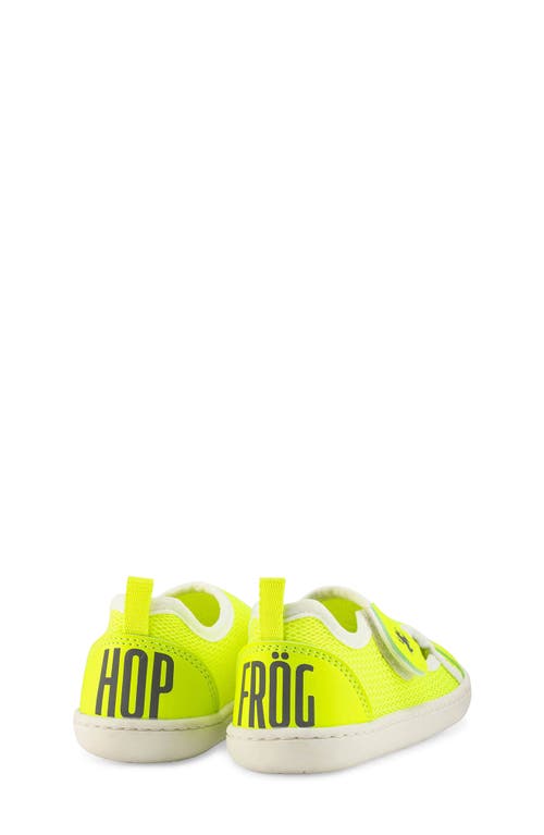 Hopfrög Kids Kids' Multi Mix Barefoot Sneaker In Neon Mix