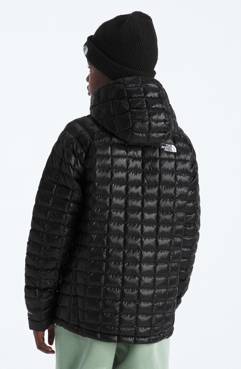 The North Face Kids' Thermoball Quilted Hooded Jacket, Alternate, color, Tnf Black
