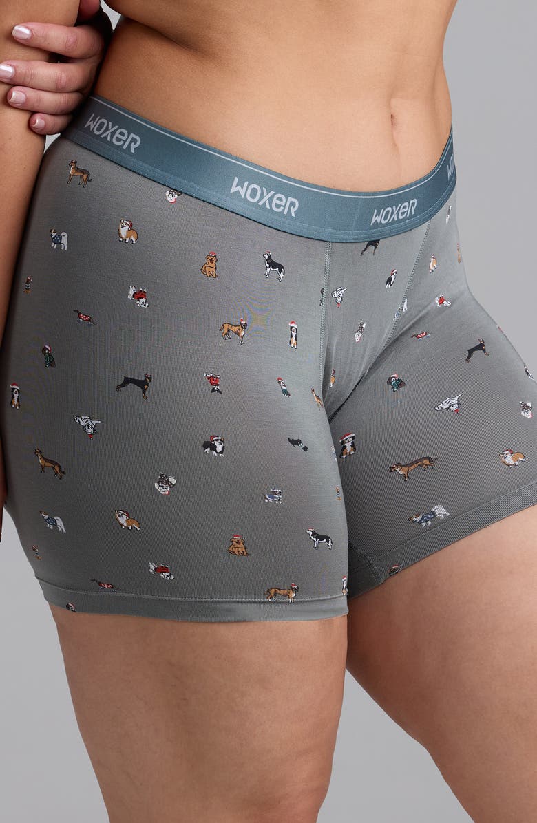 Woxer Baller Ultra-Soft 5-Inch Boxer Briefs, Alternate, color, Sage Pups