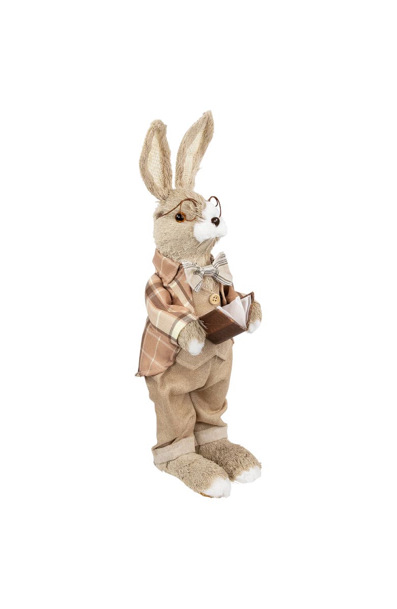 Northlight Rustic Boy Rabbit Easter Figure with Book - 16.25" - Beige, Alternate, color, Beige