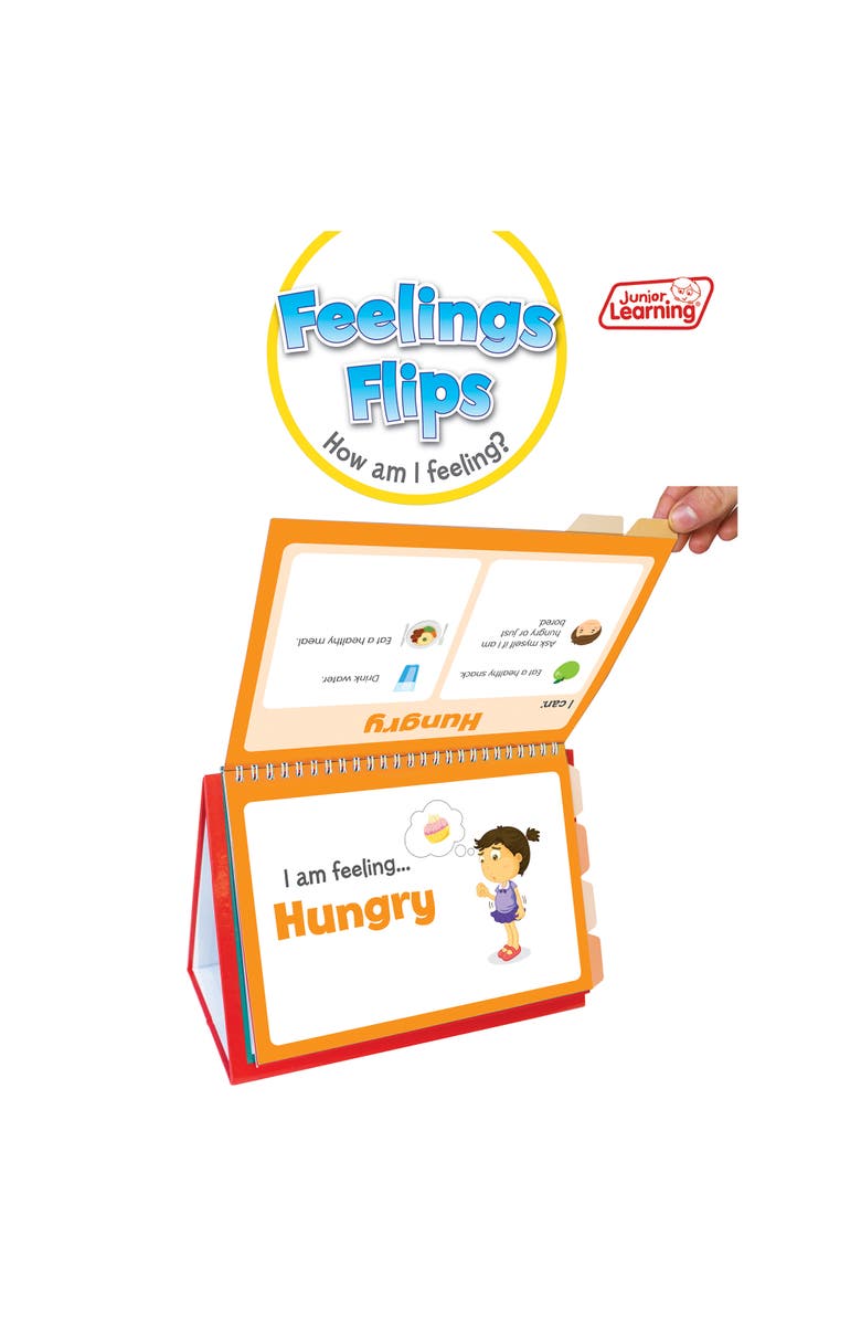 Junior Learning Flip Chart Feelings Flash Cards, Alternate, color, Multicolored