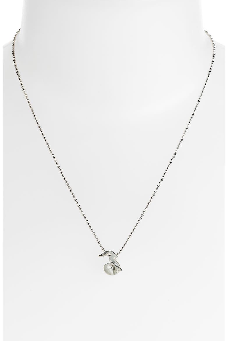 'Little Signs' Zodiac Pendant Necklace, Alternate, color, SILVER- CAPRICORN