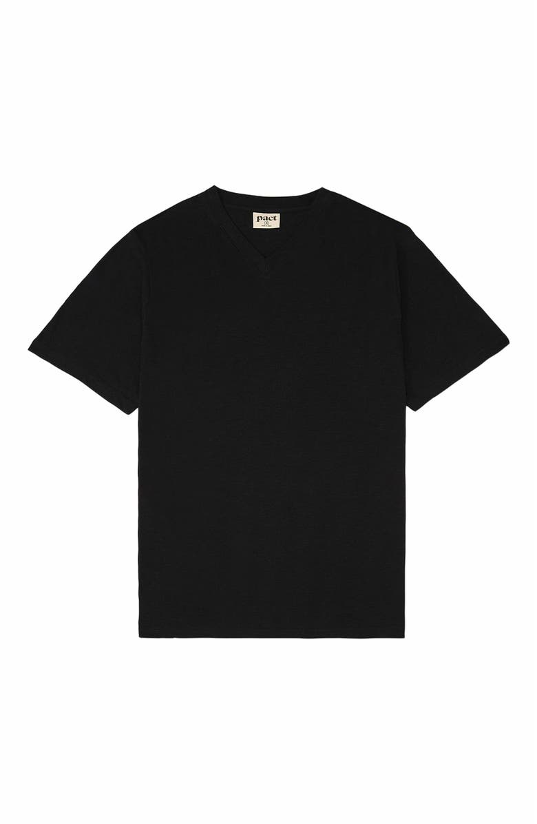 Pact Organic Cotton Featherweight Slub V-Neck Tee, Alternate, color, 