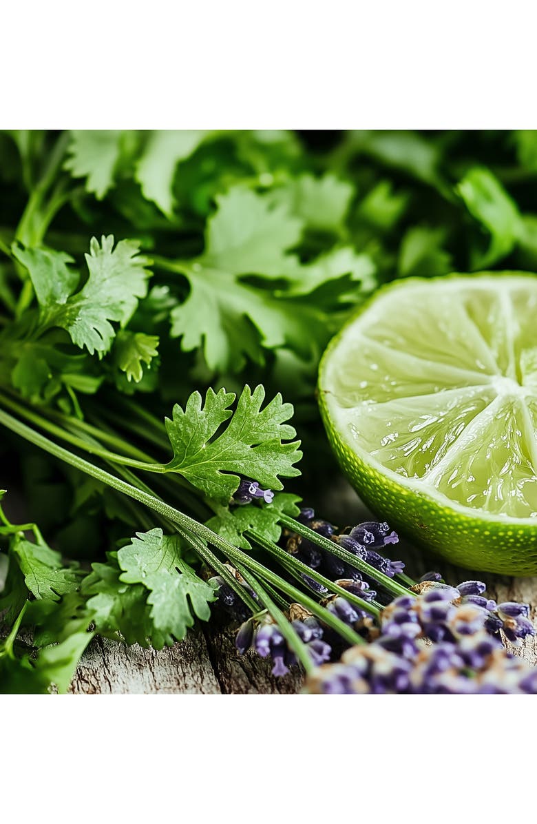 House of Sillage The Classic Parfum, Alternate, color, 