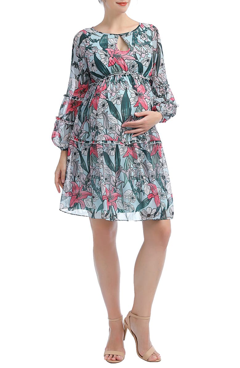 Kimi and Kai Nia Floral Long Sleeve Maternity Babydoll Dress, Main, color, 