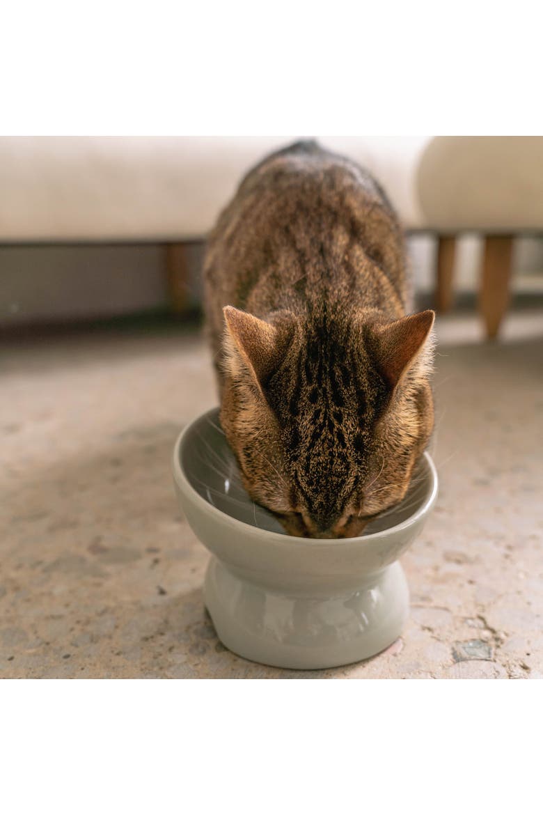 Elevated Ceramic Cat Bowl, Grey, 7oz, Alternate, color, Gray