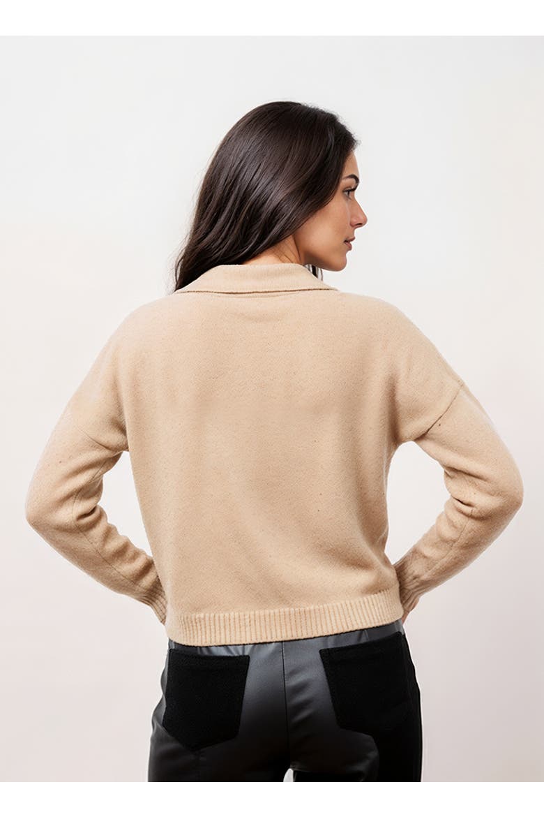 Robbie V-Neck Polo, Alternate, color, OAT