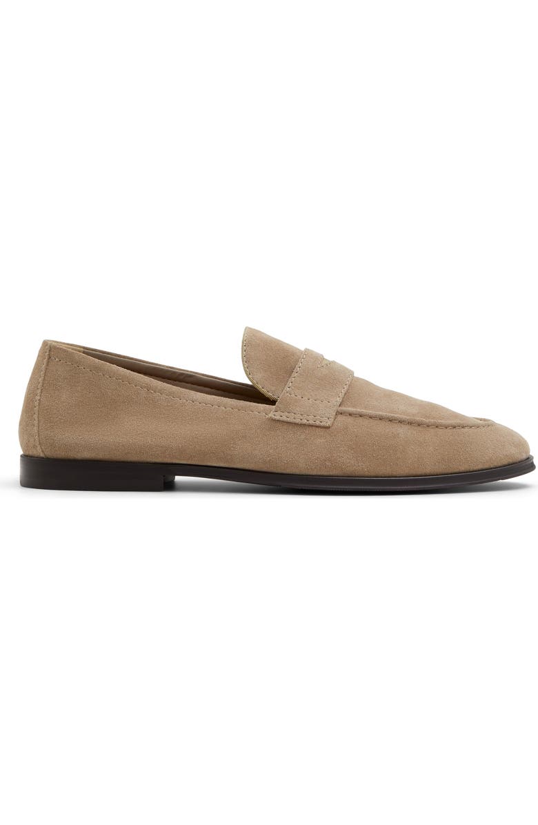 ALDO Journey Loafer, Alternate, color,