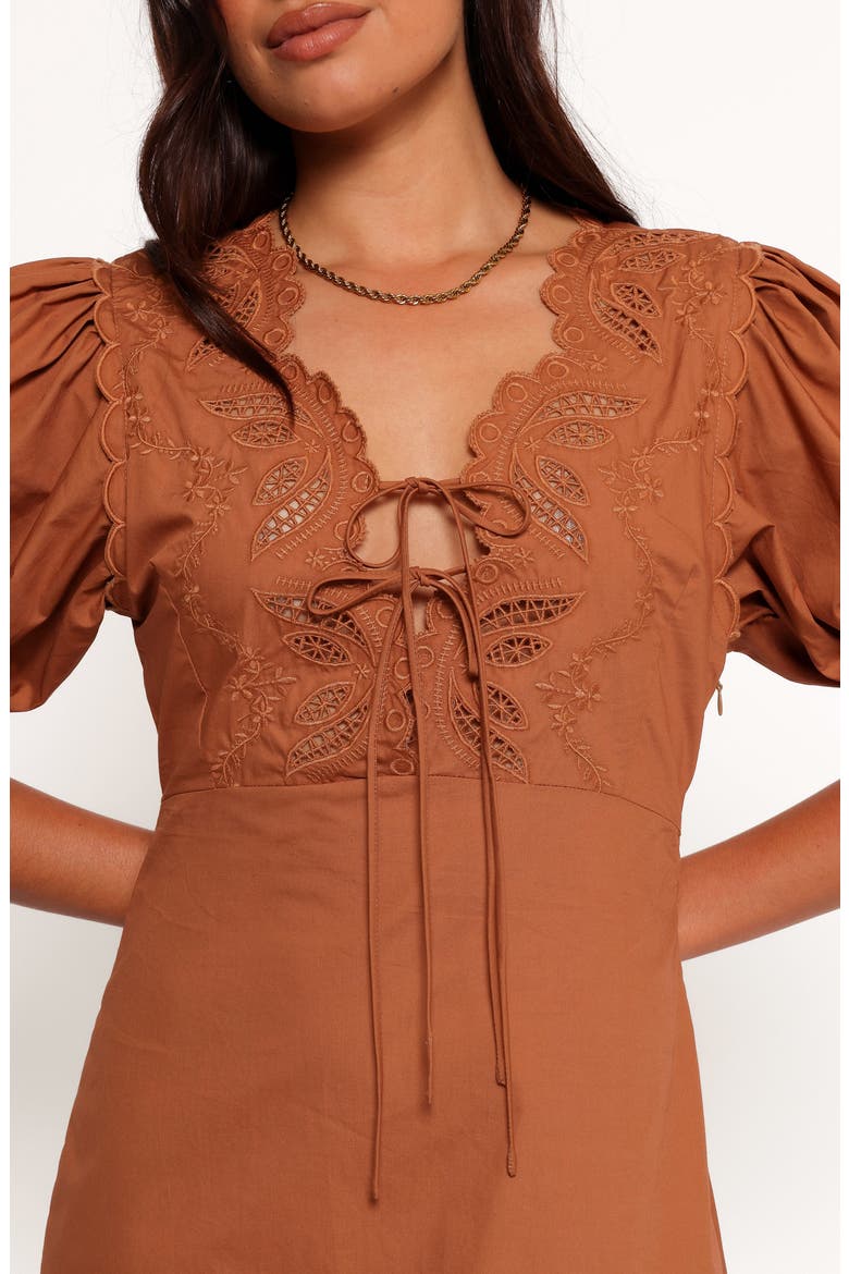 Rhodes Embroidered Puff Sleeve Minidress, Alternate, color, BROWN