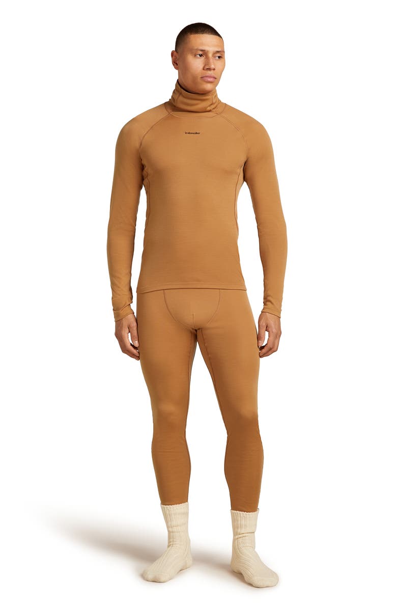 Icebreaker 300 Polar MerinoFine Turtleneck Top, Alternate, color, Trail