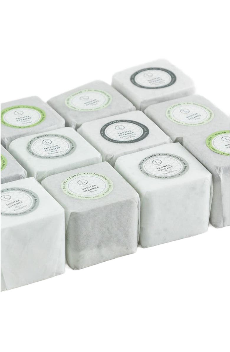 Lizush Earthy Shower Steamer Gift Box, Set of 5 Shower Steamers, Alternate, color, NO COLOR