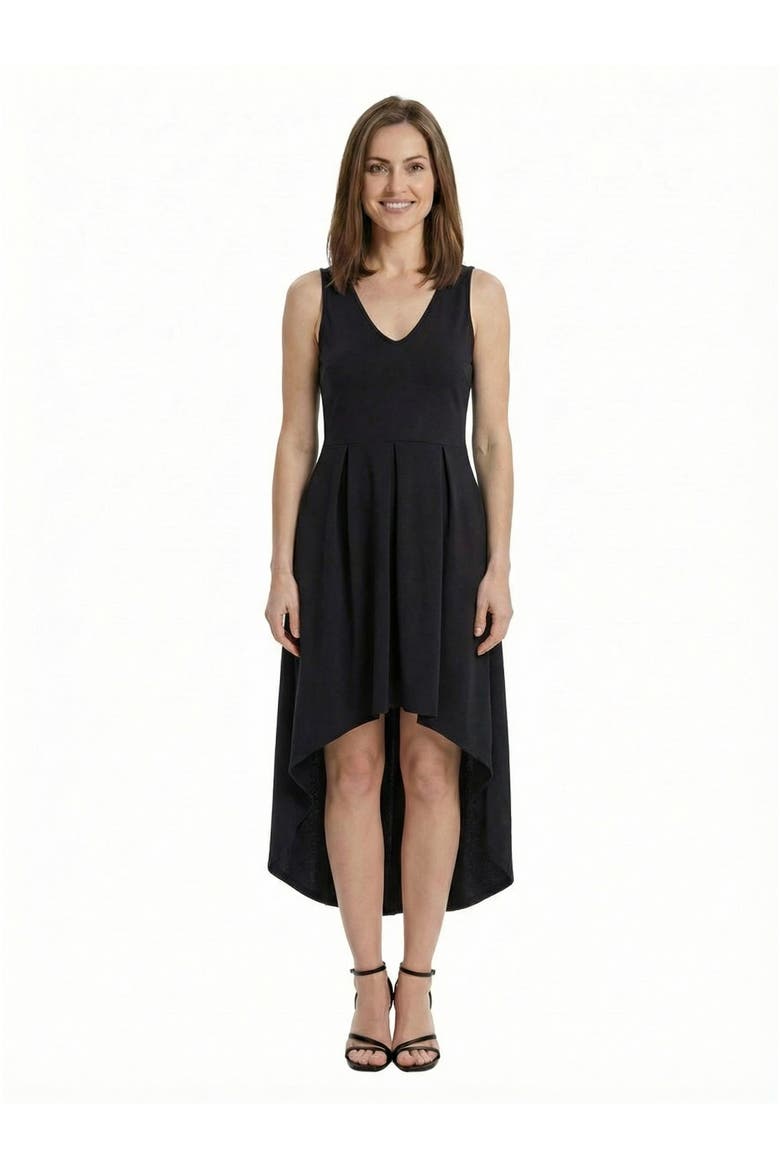 Elevate Petite Sleeveless V-Neck Pleated Fit N Flare Pocket Midi Dress, Main, color, Black